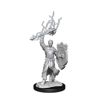 D&D Unpainted Minis Wv14 Half-elf Paladin Male