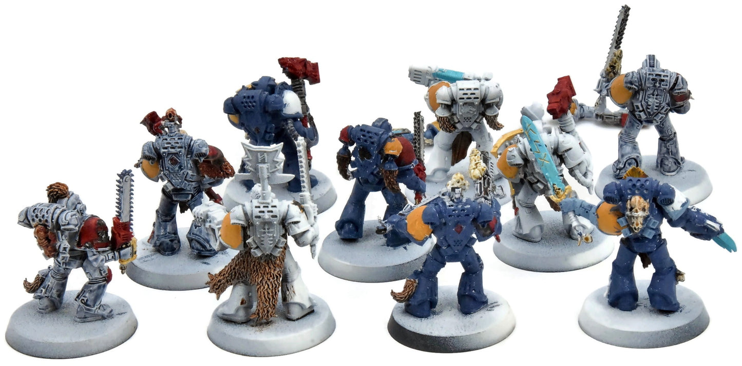 SPACE WOLVES 10 Grey Hunters #1 Warhammer 40K 1012
