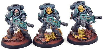 SPACE MARINES 3 Aggressors #1 PRO PAINTED Warhammer 40K 0566