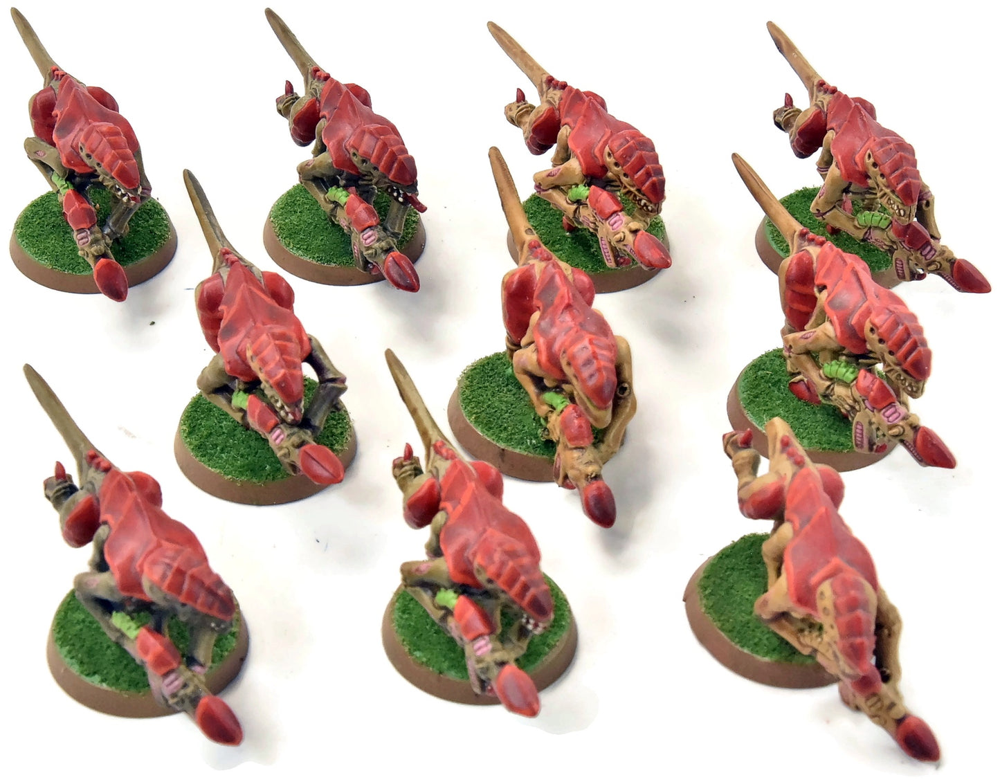 TYRANIDS 10 Termagants #5 Warhammer 40K WELL PAINTED