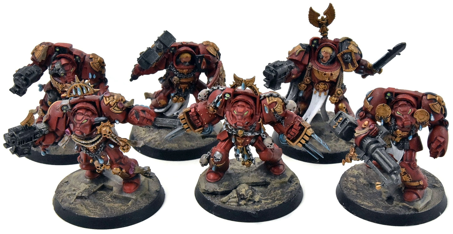 BLOOD ANGELS 6 Terminator Squad #1 WELL PAINTED Warhammer 40K