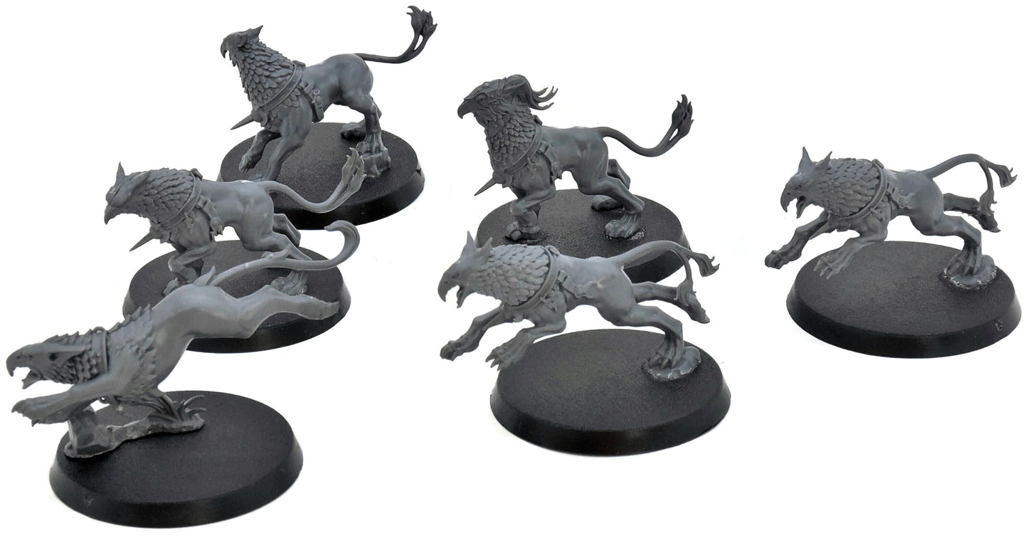 STORMCAST ETERNALS 6 Gryph Hounds #2 Warhammer Sigmar 2657