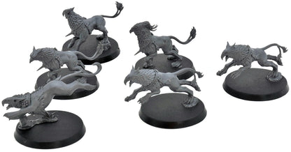 STORMCAST ETERNALS 6 Gryph Hounds #2 Warhammer Sigmar 2657