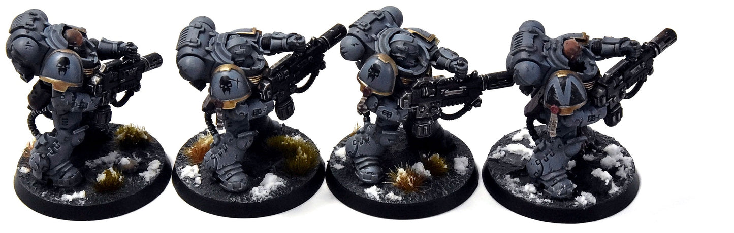SPACE WOLVES 4 Eradicators #2 PRO PAINTED Warhammer 40K