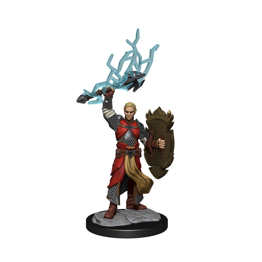 D&D Unpainted Minis Wv14 Half-elf Paladin Male