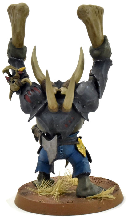 ORRUK WARCLANS Warchanter #1 WELL PAINTED Sigmar