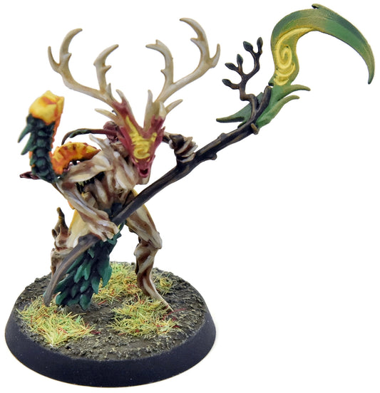 SYLVANETH Branchwych #1 WELL PAINTED Sigmar 2523