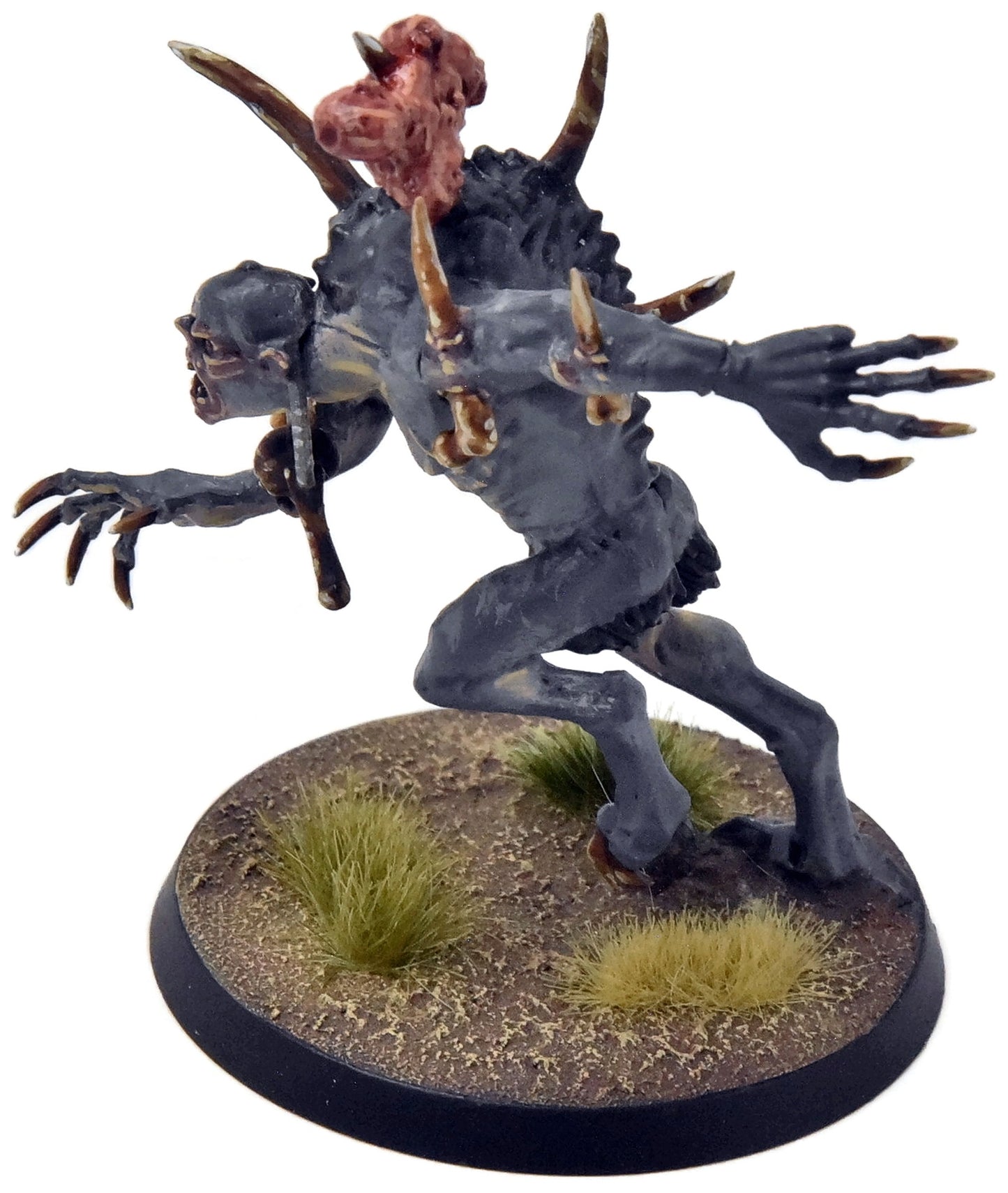 FLESH-EATER COURTS Crypt Horror Courtier #12 PRO PAINTED