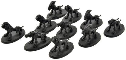 BEAST OF CHAOS 10 Chaos Warhounds Hound Beastmen #1 METAL Sigmar