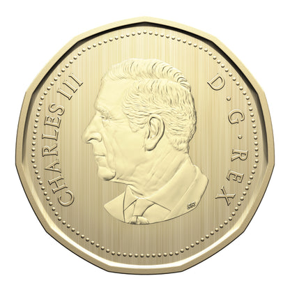 Specimen Set – Monarch Butterfly (2025)