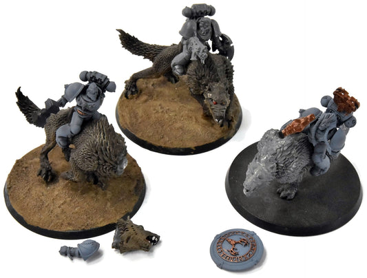 SPACE WOLVES Thunderwolf Cavalry #3 Warhammer 40K