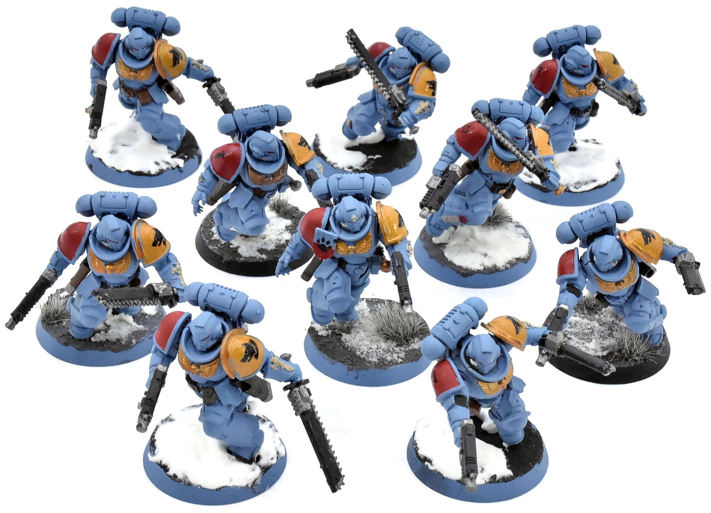 SPACE WOLVES 10 Assault Intercessors #2 Warhammer 40K WELL PAINTED