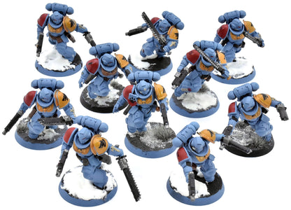 SPACE WOLVES 10 Assault Intercessors #2 Warhammer 40K WELL PAINTED