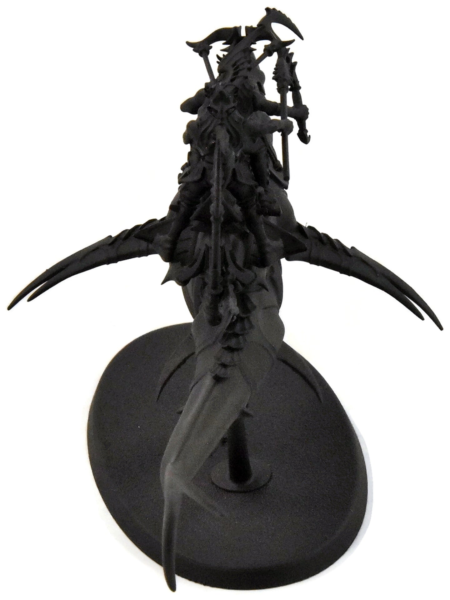 IDONETH DEEPKIN Akhelian Allopex #3 Sigmar