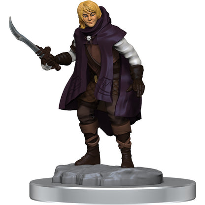D&D Unpainted Minis Wv19 Elf Rogue/half- Elf Rogue