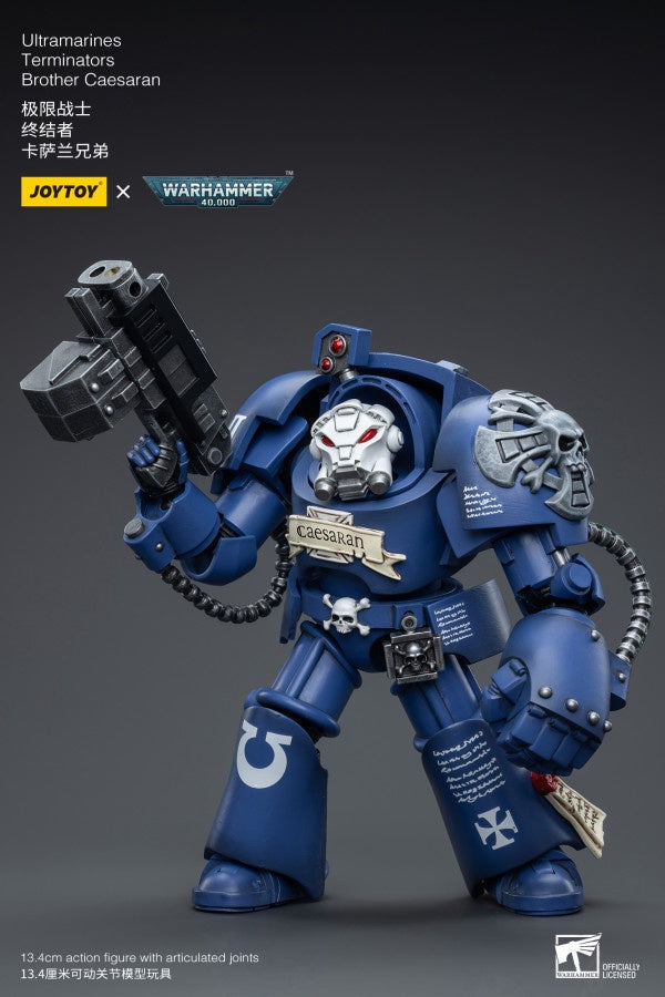 Terminators Brother Caesaran Ultramarines Joy Toy