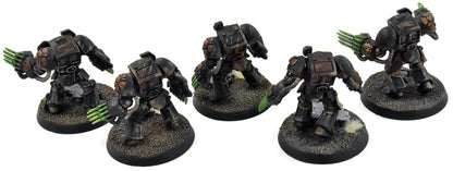 SPACE MARINES 5 Terminators with Lightning Claws #1 WELL PAINTED 40K