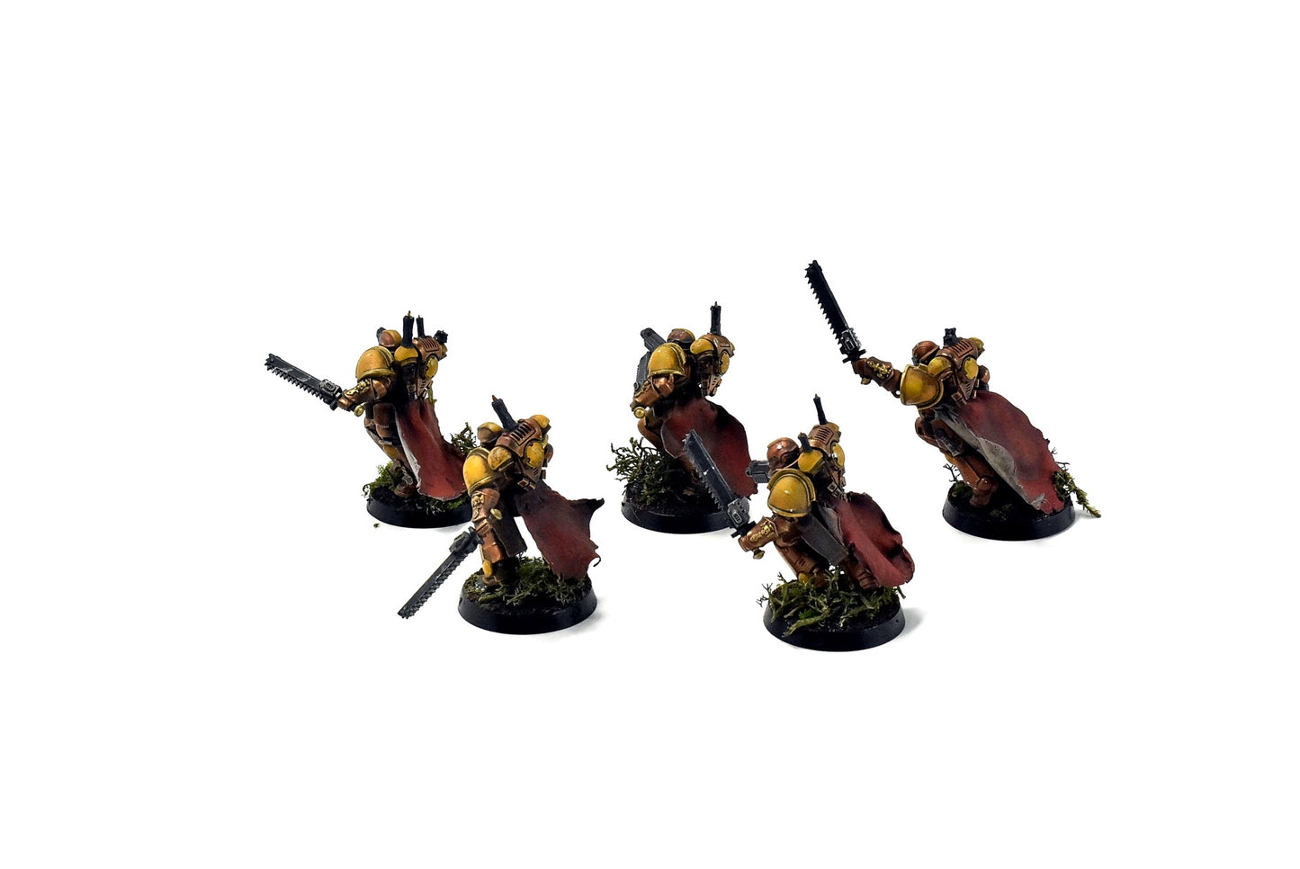 SPACE MARINES 5 Assault Intercessors #1 PRO PAINTED Minotaurs 40k