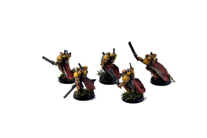 SPACE MARINES 5 Assault Intercessors #1 PRO PAINTED Minotaurs 40k