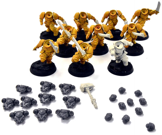 SPACE MARINES Imperial Fists 10 Assault Intercessors #1 Warhammer 40K