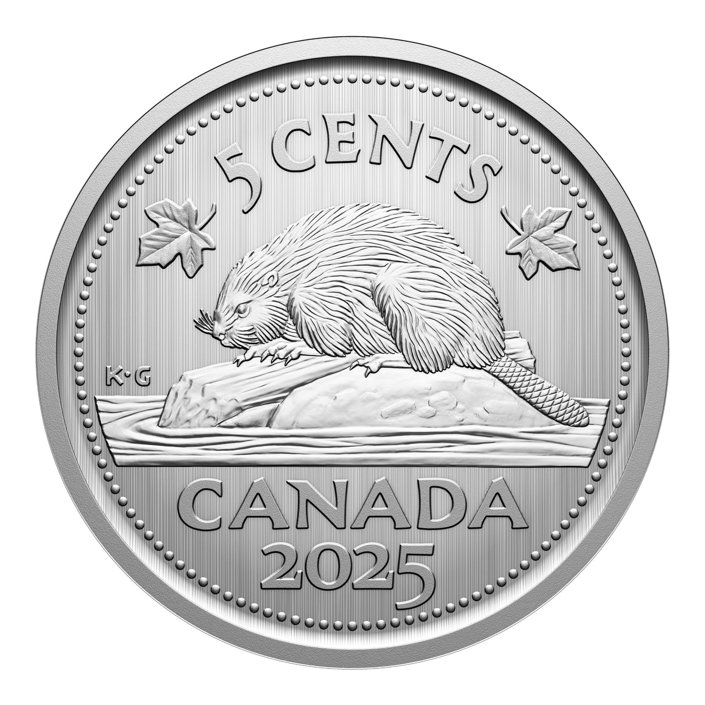 Specimen Set – Monarch Butterfly (2025)