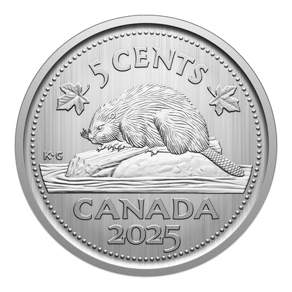 Specimen Set – Monarch Butterfly (2025)