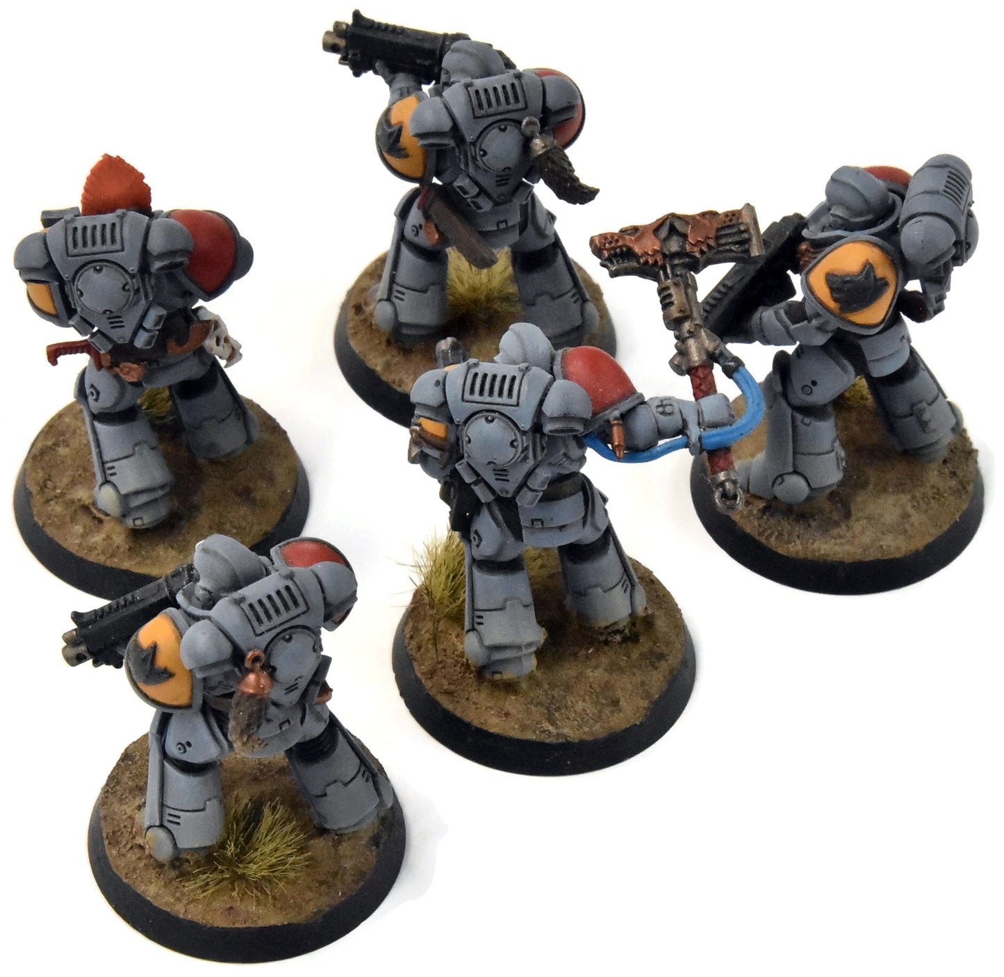SPACE WOLVES 5 Intercessors #3 Warhammer 40K WELL PAINTED
