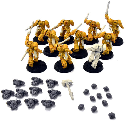 SPACE MARINES Imperial Fists 10 Assault Intercessors #1 Warhammer 40K