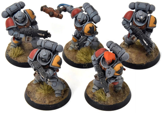 SPACE WOLVES 5 Intercessors #3 Warhammer 40K WELL PAINTED