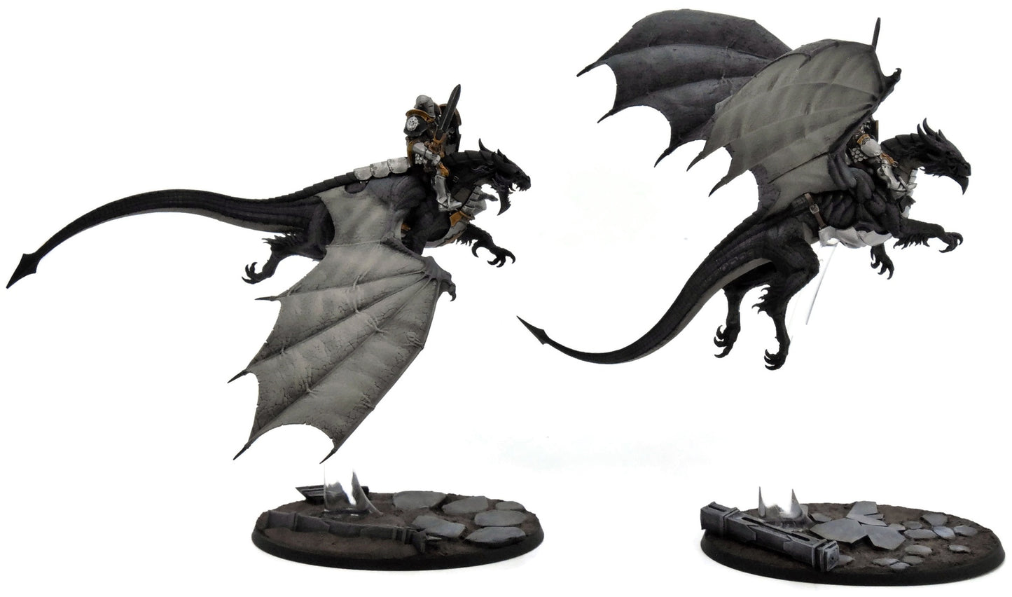 STORMCAST ETERNALS 2 Stromdrake Guard #2 WELL PAINTED Warhammer Sigmar