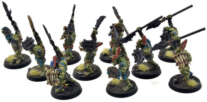 ORRUK WARCLANS 10 Savage Orruks #2 PRO PAINTED Sigmar