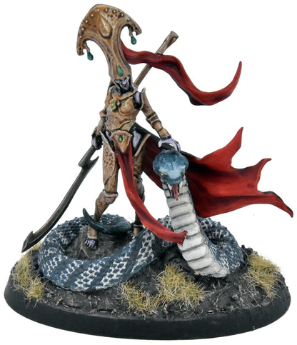 SOULBLIGHT GRAVELORDS Sekhar Fang Of Nulahmia #1 COMMISSION PRO PAINTED