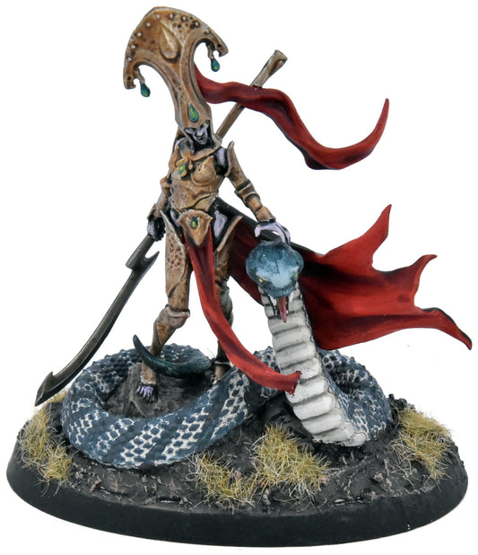 SOULBLIGHT GRAVELORDS Sekhar Fang Of Nulahmia #1 COMMISSION PRO PAINTED