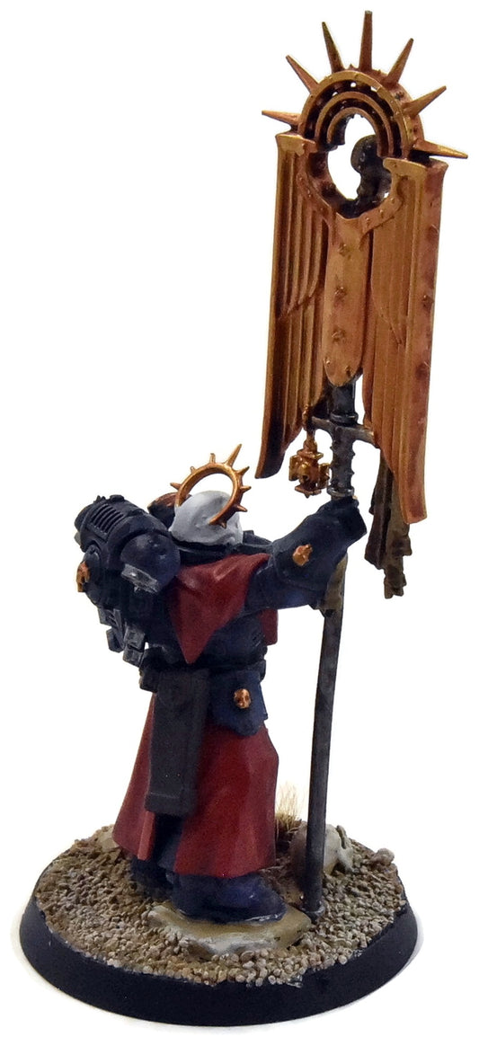 SPACE MARINES Primaris Ancient #1 WELL PAINTED Warhammer 40K Ultramarines