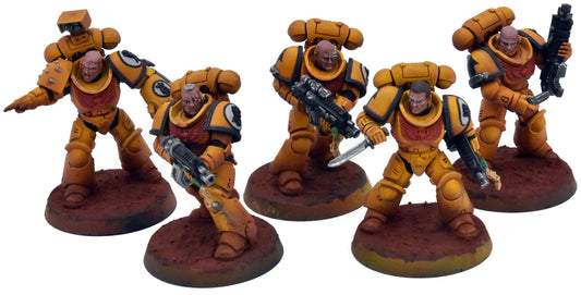 SPACE MARINES 5 Primaris Intercessors #1 PRO PAINTED 40K Imperial Fists