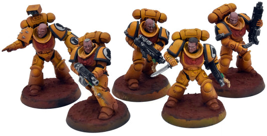 SPACE MARINES 5 Primaris Intercessors #1 PRO PAINTED 40K Imperial Fists