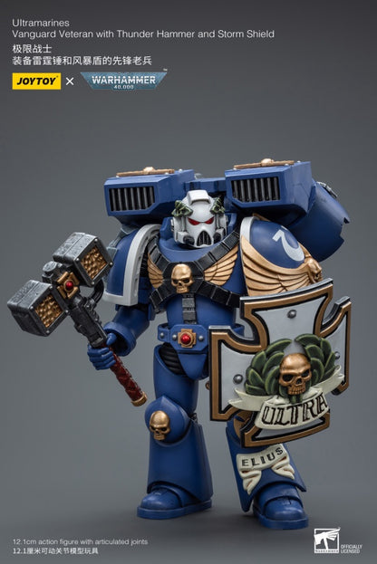 Vanguard Veteran with Thunder Hammer and Storm Shield Ultramarines Joy Toy
