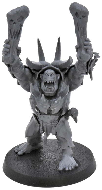 ORRUK WARCLANS Warchanter #1 Warhammer Sigmar 2701