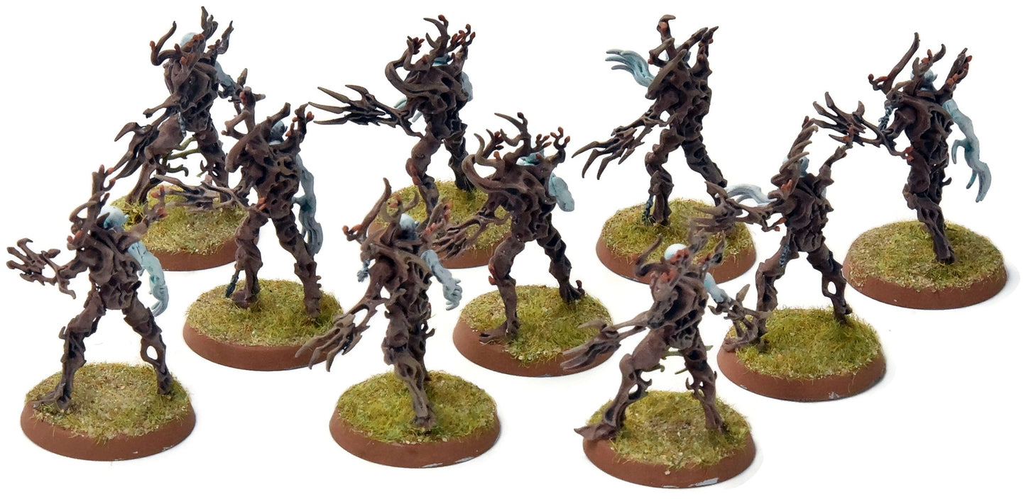 SYLVANETH 10 Spite Revenants #1 WELL PAINTED Sigmar