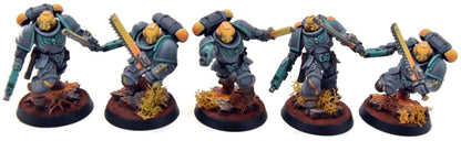 SPACE MARINES 10 Assault Intercessors Squad #2 PRO PAINTED Warhammer 40K