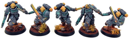 SPACE MARINES 10 Assault Intercessors Squad #2 PRO PAINTED Warhammer 40K