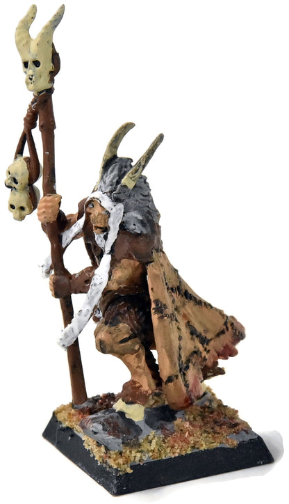 BEASTMEN Bray Shaman #1 Fantasy