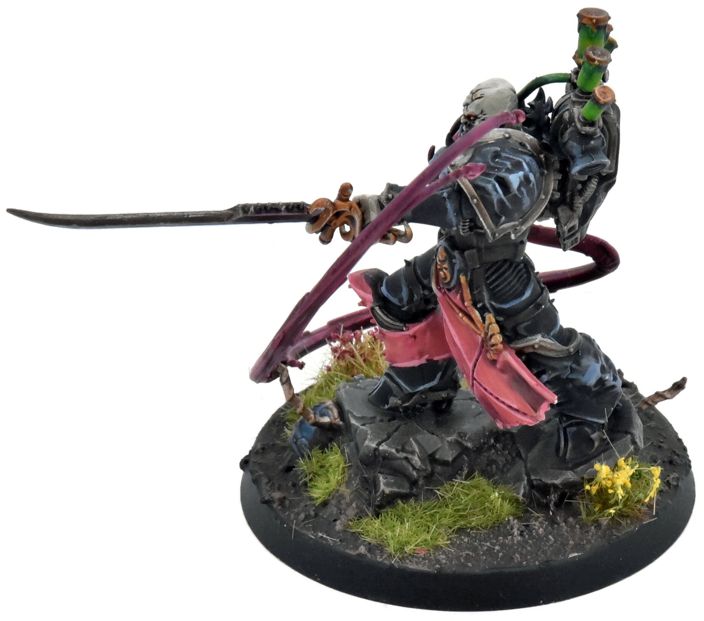 MARINES DE L'ESPACE DU CHAOS Enfants de l'Empereur Lucius l'Éternel COMMANDE PRO PEINTURE PRO