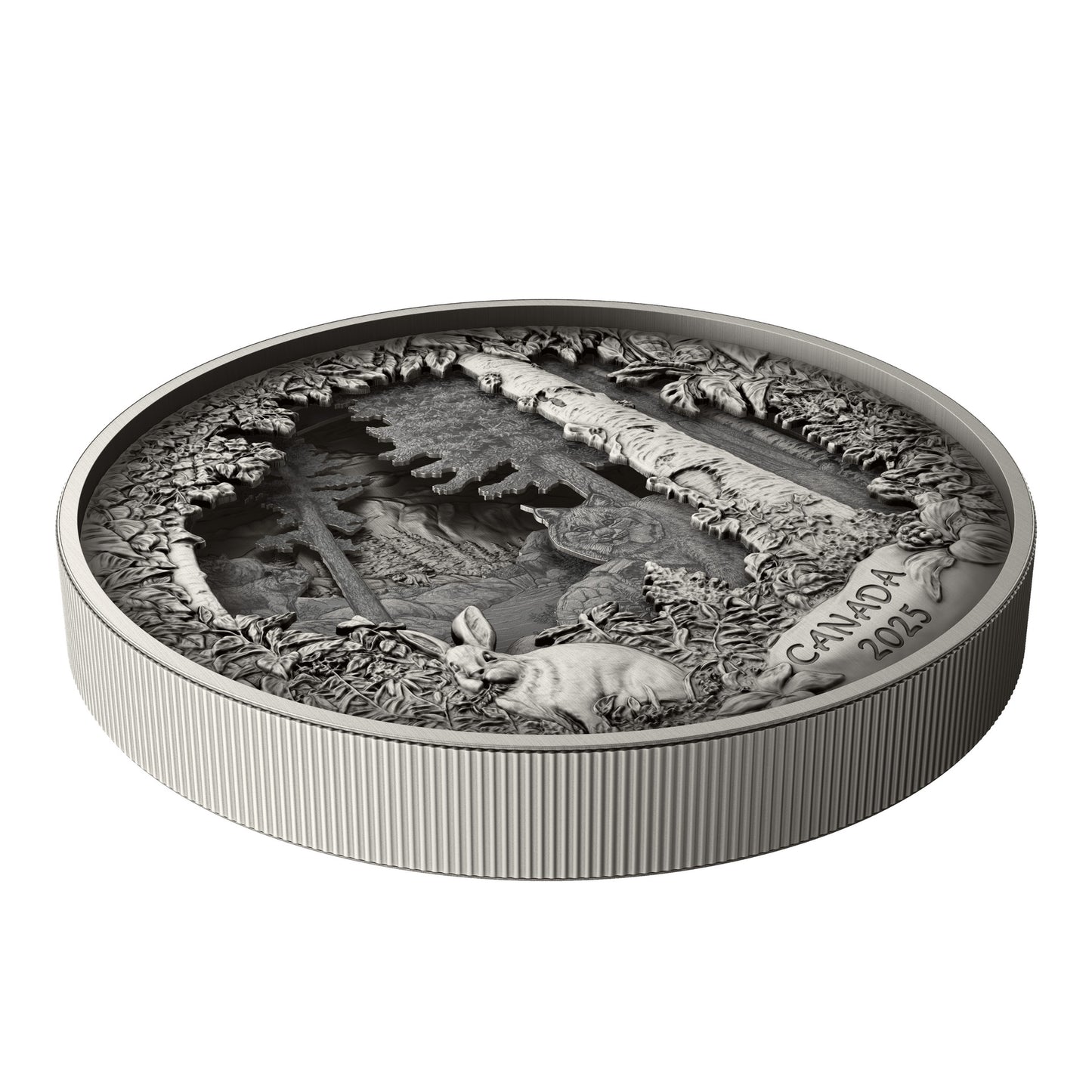 Predator or Prey in Shadow Box – Fine Silver Coin (247976)