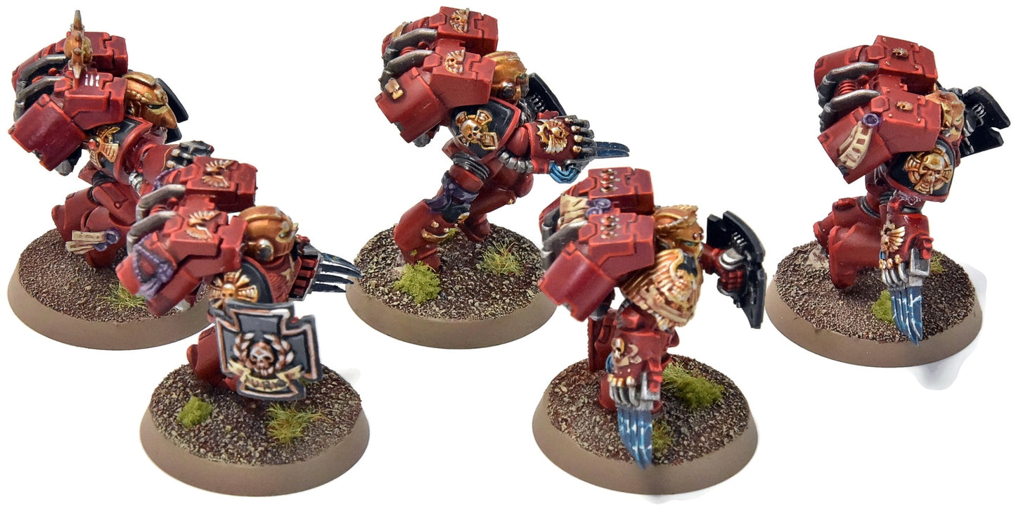 BLOOD ANGELS Vanguard Veteran Squad #11 PRO PAINTED Warhammer 40K