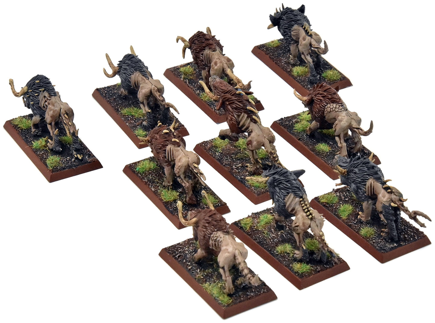 BEASTMEN 10 Chaos Warhounds #1 PRO PAINTED Fantasy