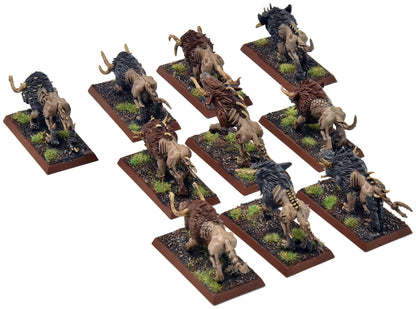 BEASTMEN 10 Chaos Warhounds #1 PRO PAINTED Fantasy