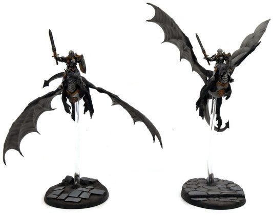 STORMCAST ETERNALS 2 Stromdrake Guard #1 WELL PAINTED Warhammer Sigmar