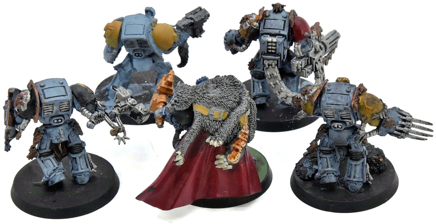 SPACE WOLVES 5 Terminator Wolf Guards #1 Warhammer 40K