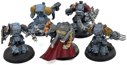 SPACE WOLVES 5 Terminator Wolf Guards #1 Warhammer 40K